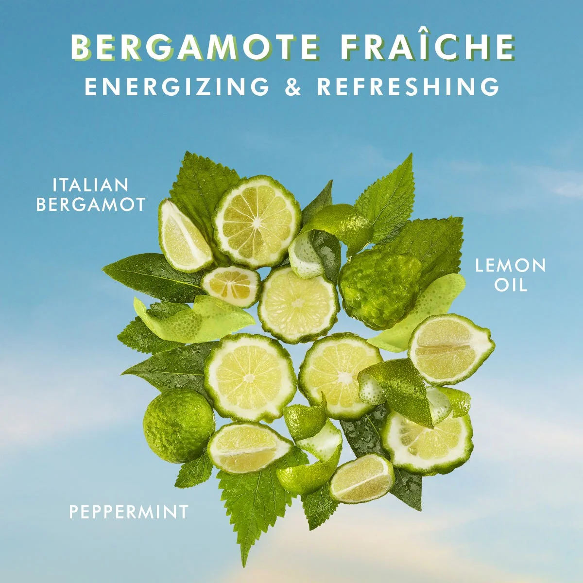 Körperlotion Bergamote Fraiche - Image 4