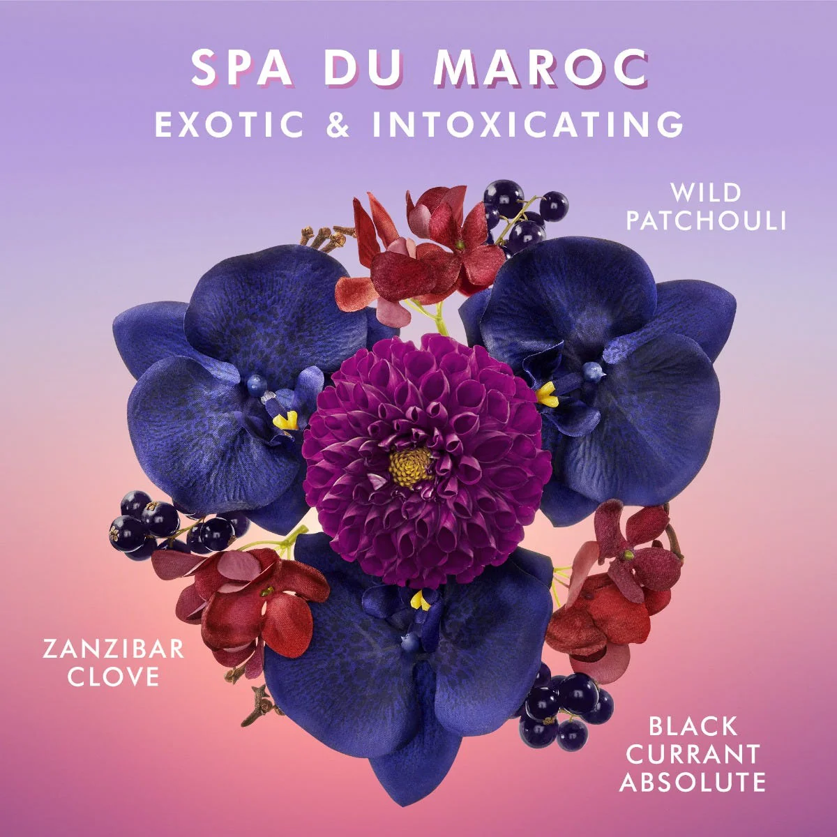 Handseife Spa Du Maroc - Image 4