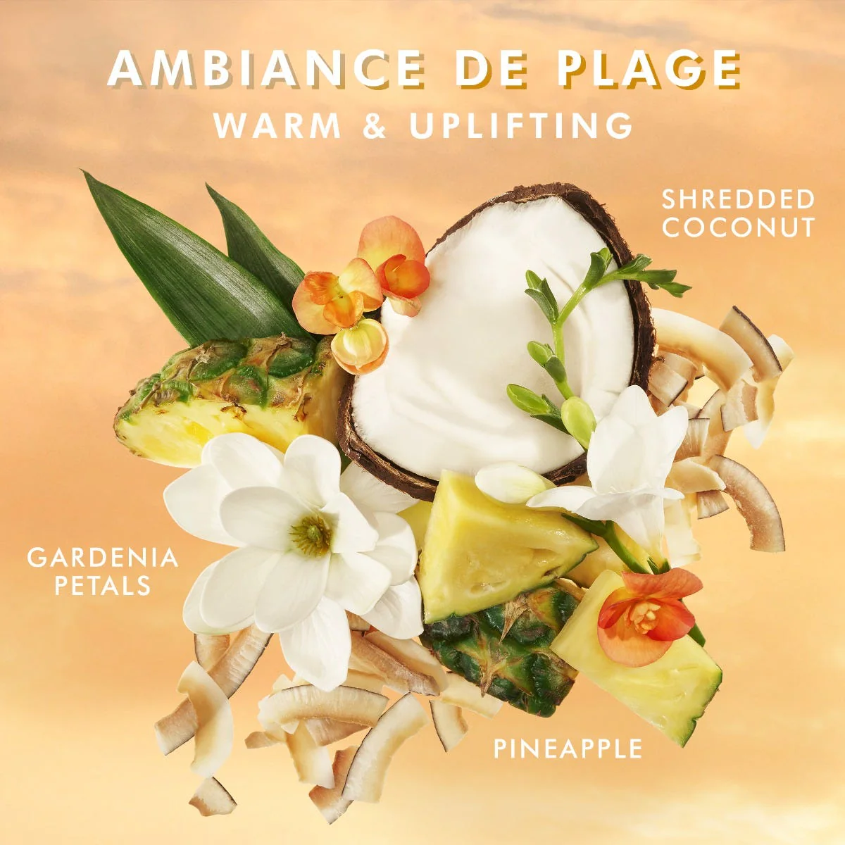 Duschgel Ambiance de Plage - Image 4