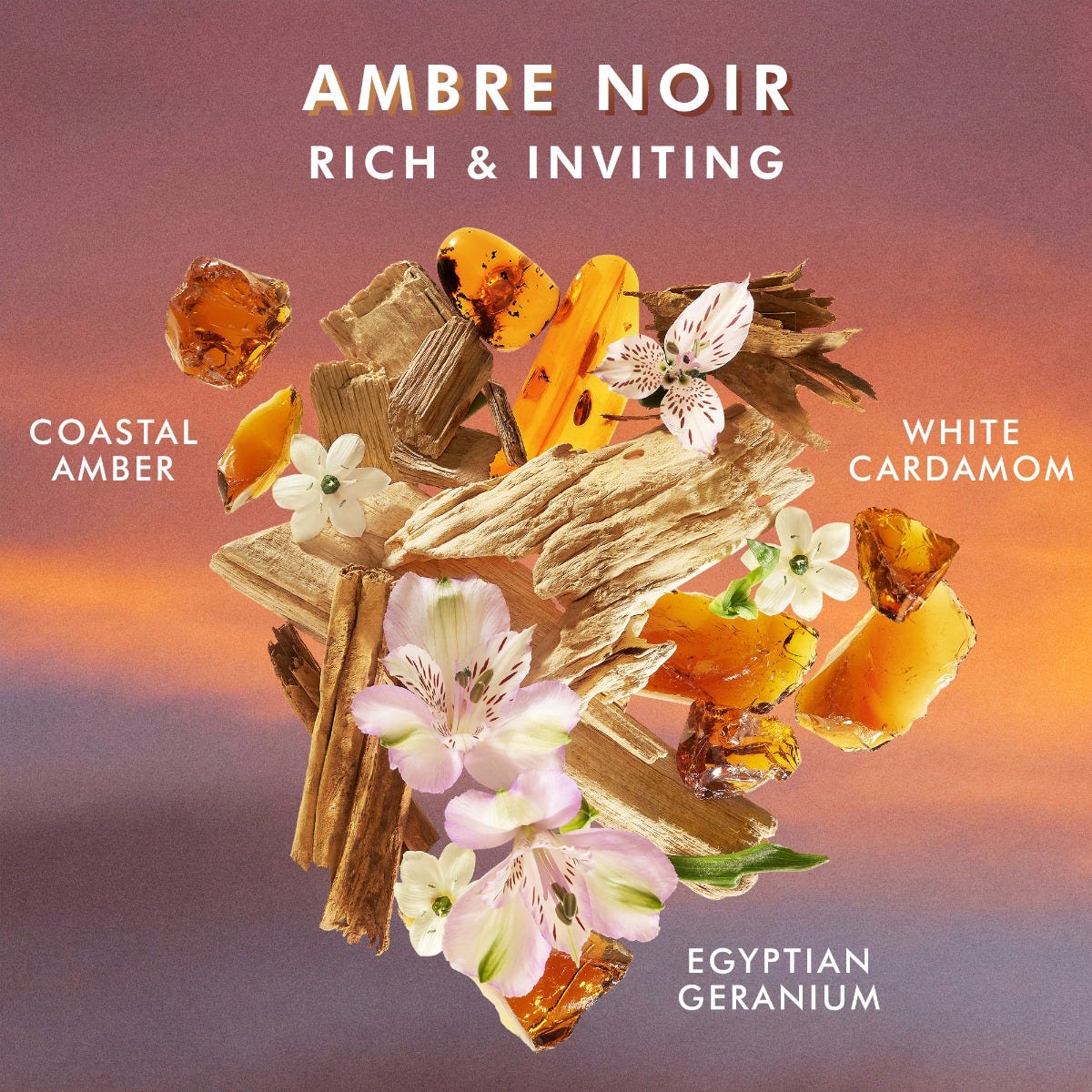 Duschgel Ambre Noir - Image 4