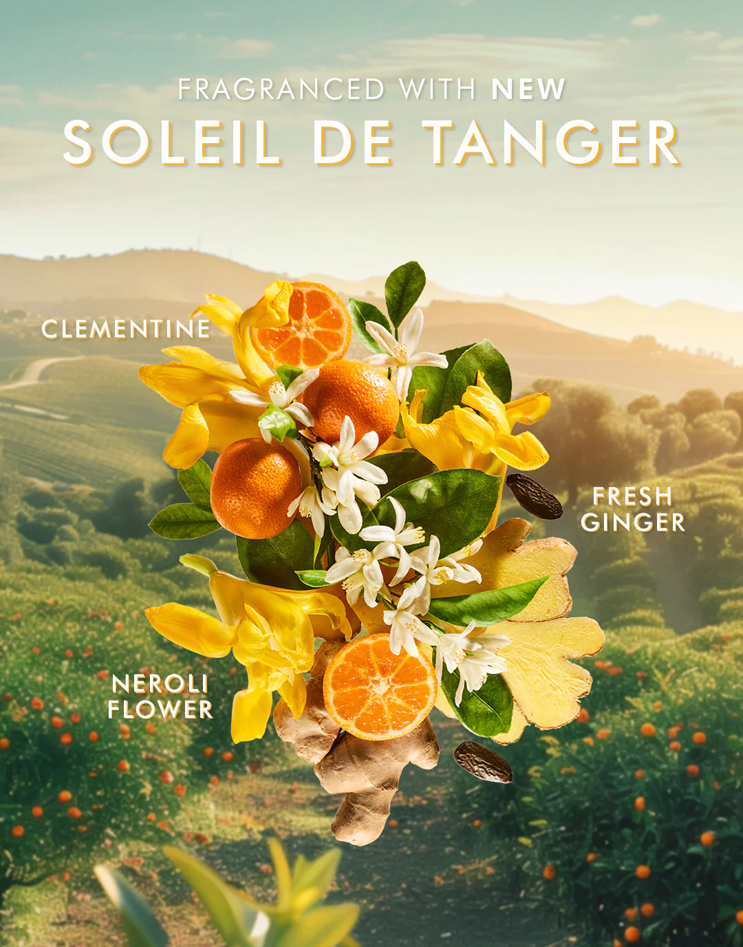 Soleil de Tanger Handpflege-Set  - Image 6